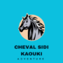 Cheval Sidi Kaouki