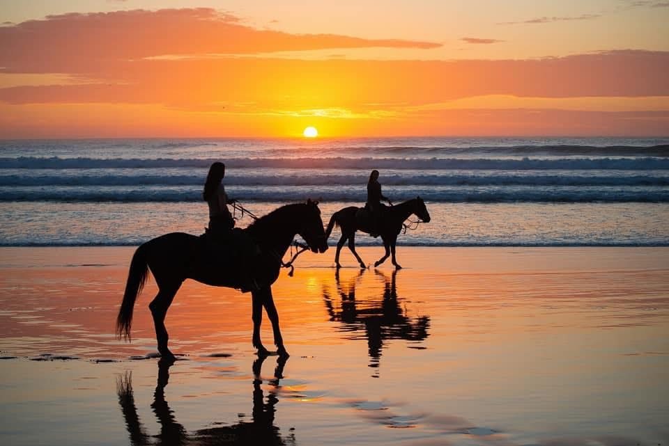 Sidi Kaouki Horse Riding