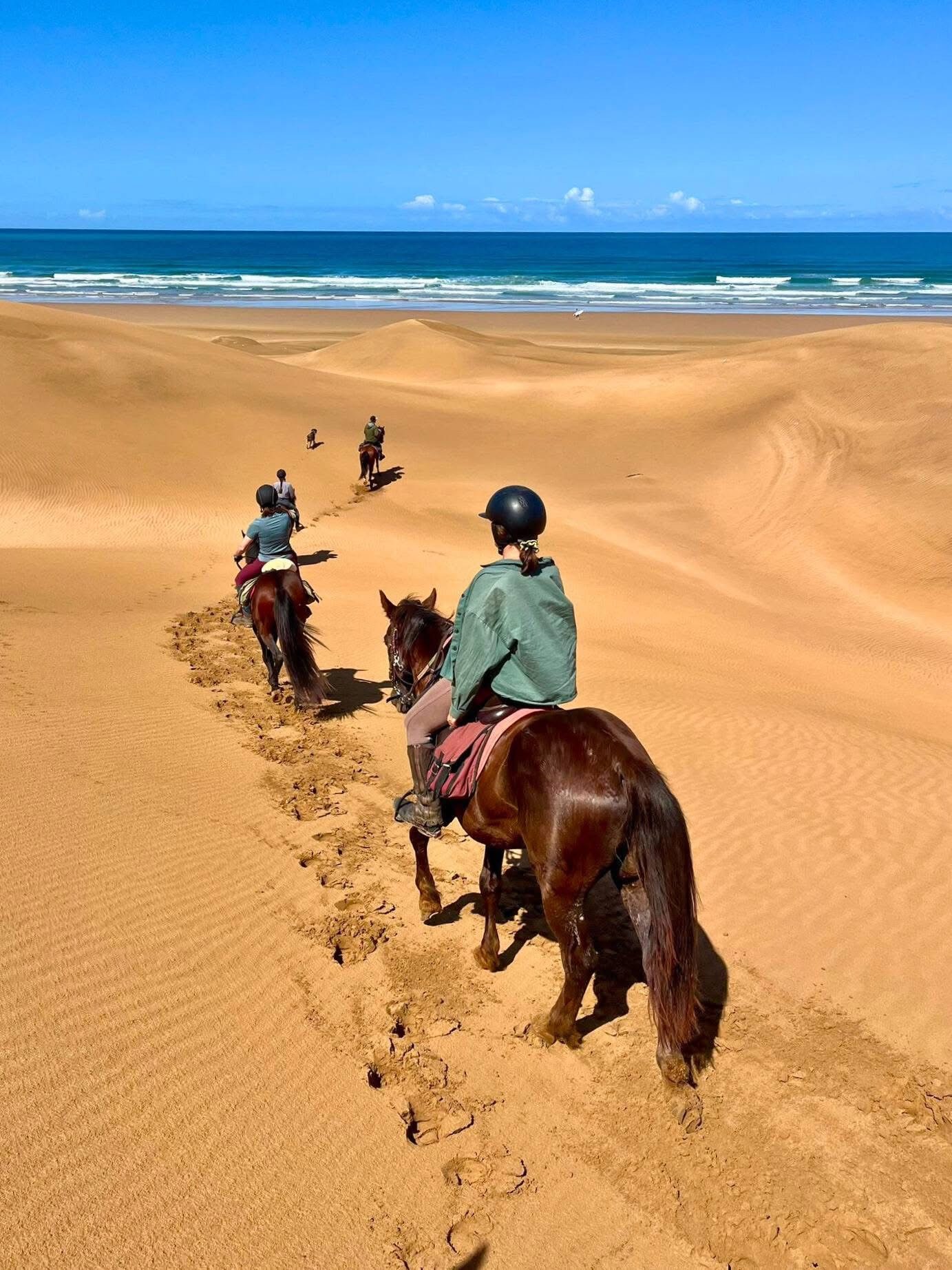 Sidi Kaouki Horse Riding