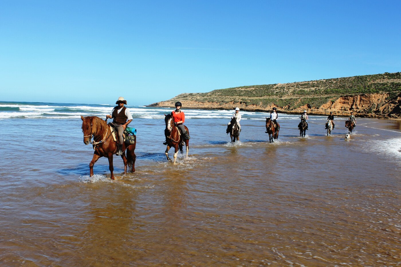 Sidi Kaouki Horse Riding