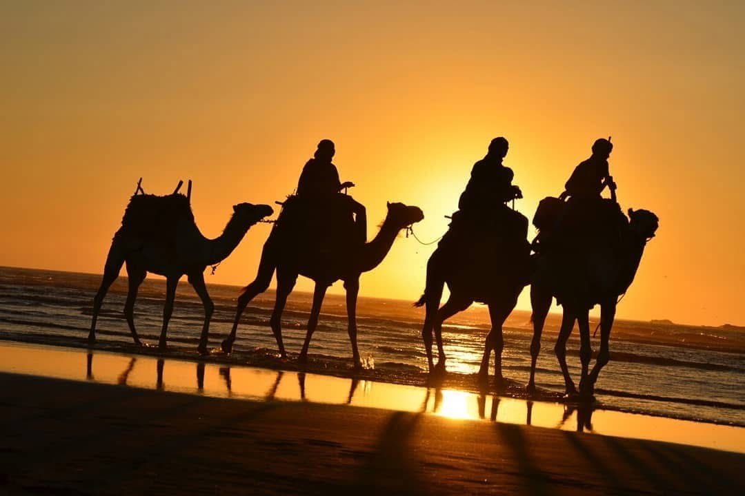 Camel Ride in Sidi Kaouki Essaouira