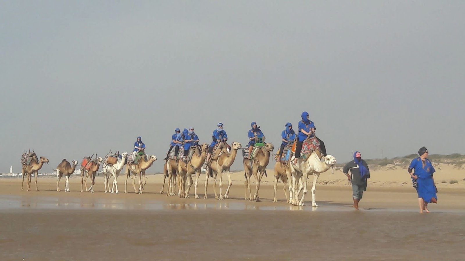 Camel Ride in Sidi Kaouki Essaouira